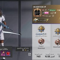 حساب ببجي • لفل ٧٣ • ٢٥ سلاح