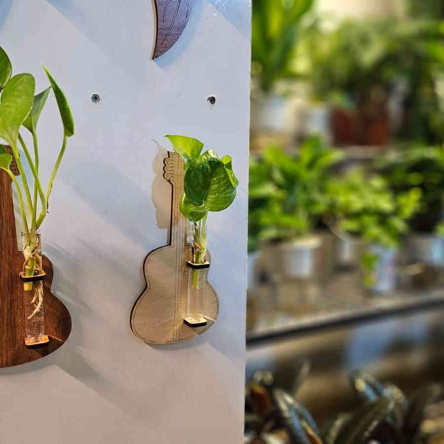 أضف لمسة حياة وأناقة لمنزلك مع ديكور نباتات للتجذير 🌱
تصاميم عصرية، جودة عالية، وأسعار تناسب الجميع!
القطعة بـ 3 آلاف | قطعتين بـ 5 آلاف | 5 قطع بـ 10 آلاف
جملة ومفرد متوفرة
🚚 توصيل لكل العراق

📍 العنوان: مشتـل باشا، كركوك – رحيم أوه
📞 للطلب والاستفسار: ***********
