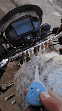 موديل ٢٤ • اوراقه • ٦٧٥