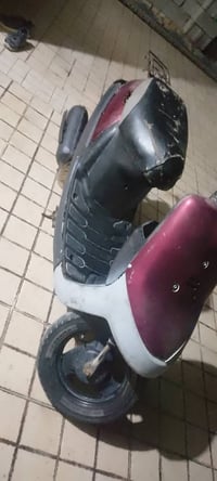 بطة • للبيع • اتصال_الصفحه