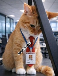 الموصل • متفرغ • ٣٠ سنة