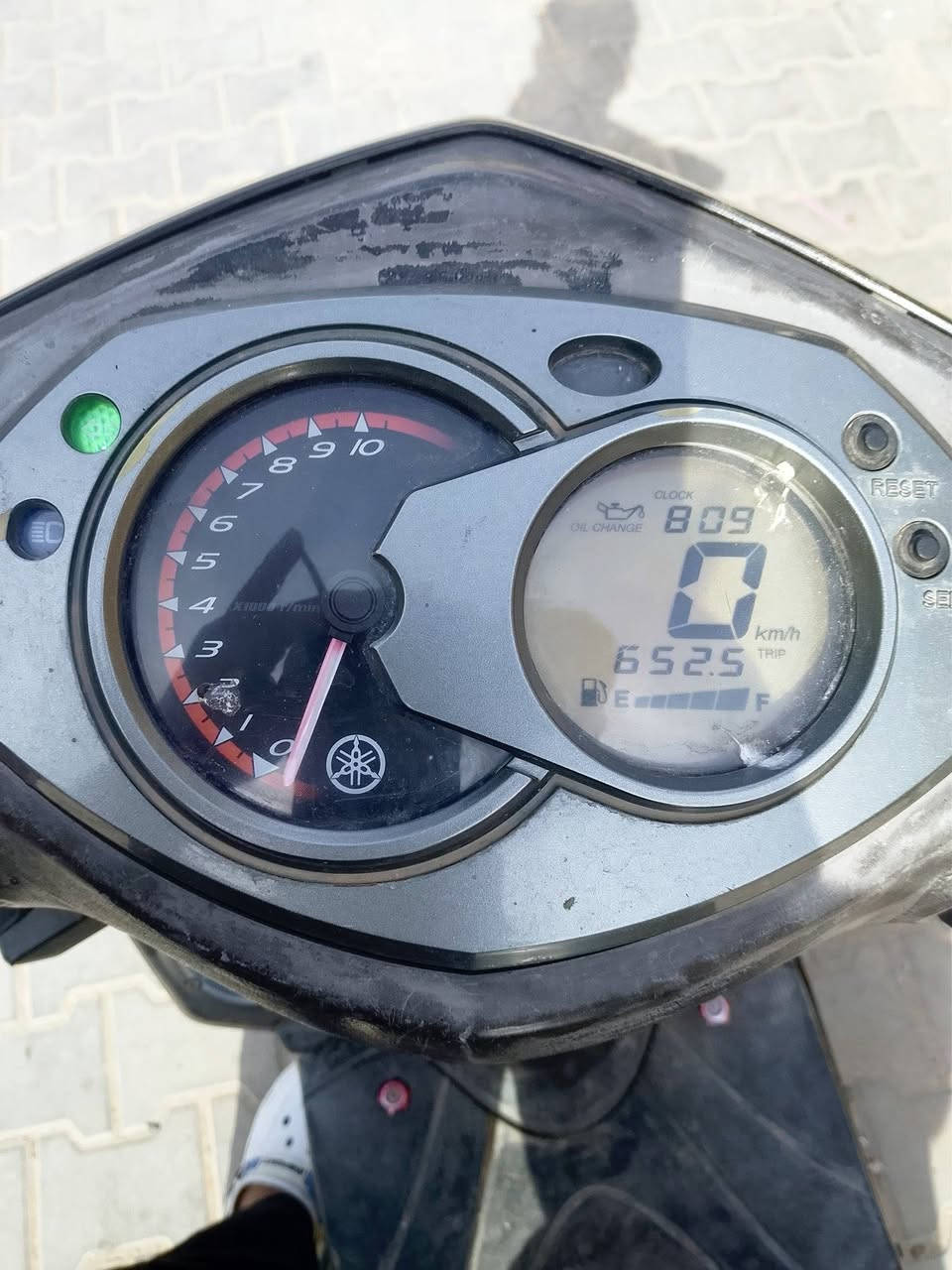 سلام عليكم سكنس فحل البيع مكان بغدد شعلة سعر 550 نكرة سلف كهربائيات مكينة كفلة شعلة معدل بيهة تزويد خفيف شراي تصل  ***********
