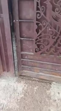 دار للبيع مساحه 100م قرب الحولي مكاتبه مباشر من صاحب الأرض     وسعره م...