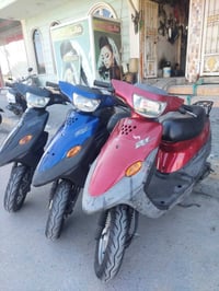 بيجي • نضيف • حي صدر