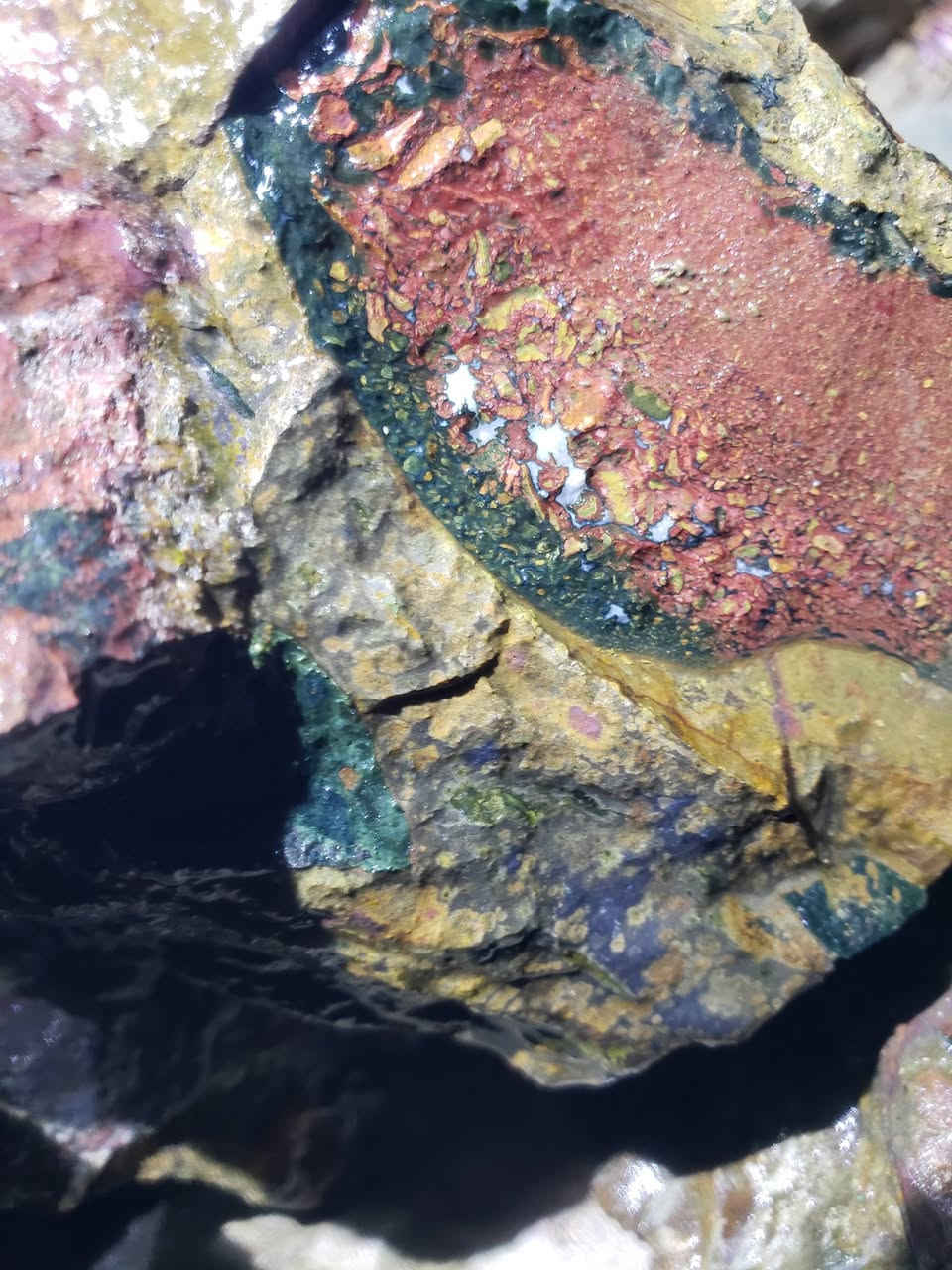 عقيق يماني لتوصال @خاص


**إذا كنت صاحب هذا الإعلان وتريد حذفه لأي سبب، رجاءا أرسل رسالة إلى الدعم الفني**