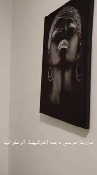 #مزرعة مرسى دجله الترفيهية  على ضفاف نهر دجله  نهاية الاربع شوارع  للا...