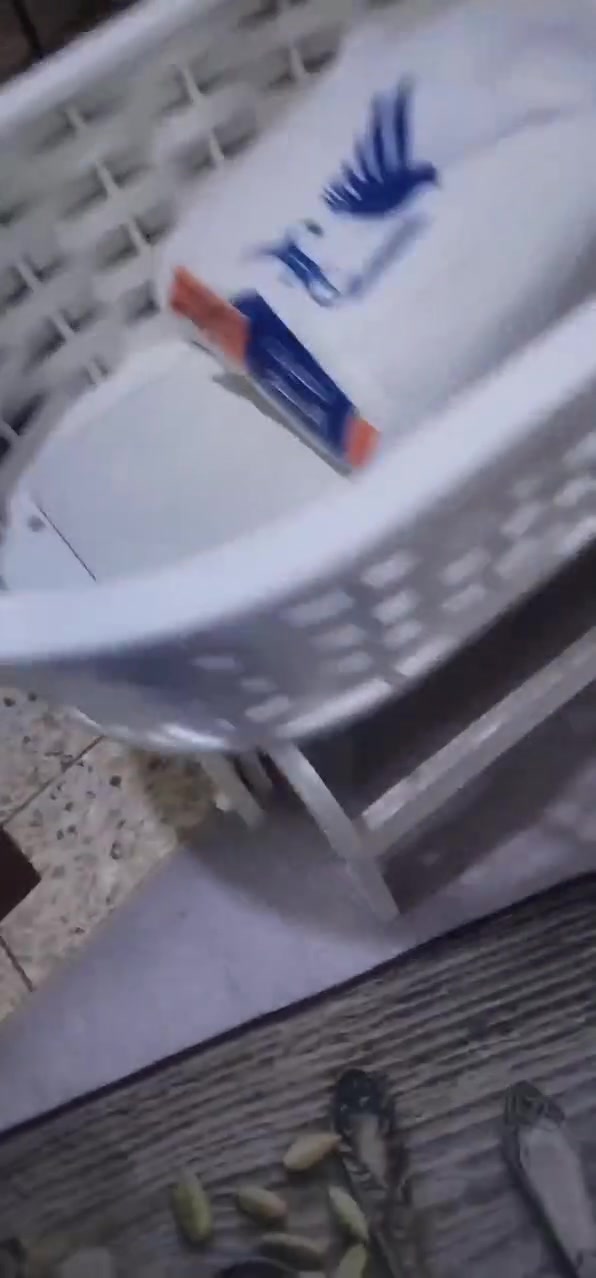 للبيع كريكوت عش العصفور هزاز وينقفل نفس الوقت خشب قوي اصلي


**إذا كنت صاحب هذا الإعلان وتريد حذفه لأي سبب، رجاءا أرسل رسالة إلى الدعم الفني**