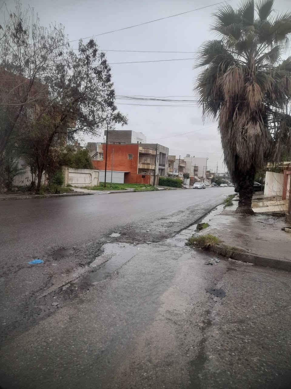 دار للايجار ركن يقع على شارعين شارع ٢٠ شلاوي مساحه الدار ١٥٠م طابقين يحتوي على ٤غرف نوم وهولين ومطبخ وصحيات يصلح ايكون شركة أو مكاتب 
للإستفسار الاتصال على الأرقام ***********
***********
ابو سيف او مراجعة مكتب ابو شهاب احمد غانم المختار حي الحدباء نهاية سايدين المضخة مقابل مجمع شقق الحدباء وقت الاتصال من الساعه العاشره صباحا إلى العاشره مسآء وشكرا
