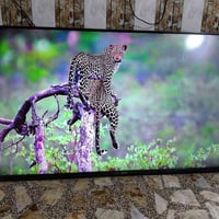 شاشه ٦٥ • بدون نت • خط رفيع