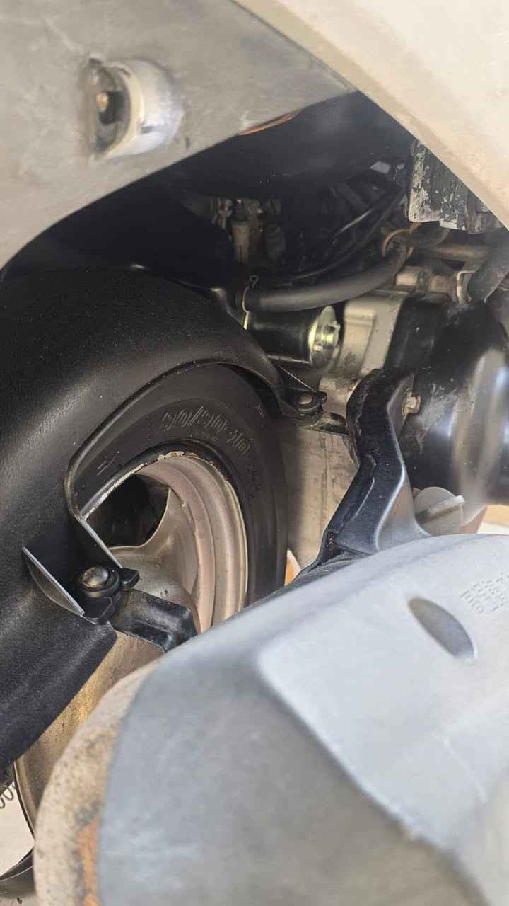 سلام عليكم ماكس منغولي كفاله عامه سعر 950 تواصل ماسنجر


**إذا كنت صاحب هذا الإعلان وتريد حذفه لأي سبب، رجاءا أرسل رسالة إلى الدعم الفني**