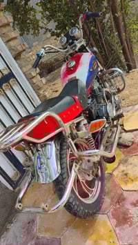 جونده جمره • اوراق اصولي • نظيفه