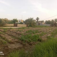 الرميثة الصويحية • طابو اسود • ٢٥٠٠م
