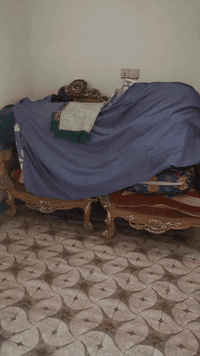 السلام عليكم
تخم للبيع زان مصري اصلي
مكاني بغداد عرب جبور
***********رقم هاتف
