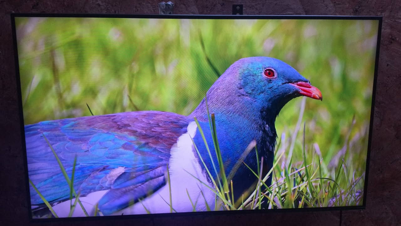 شاشه سامسونك
حجم 43 4k
السعر 300


**إذا كنت صاحب هذا الإعلان وتريد حذفه لأي سبب، رجاءا أرسل رسالة إلى الدعم الفني**