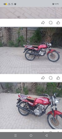 دايون عظم • كلك • موديل ٢٠١٩