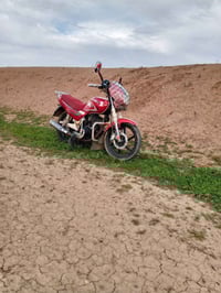 سايم • ٢٠١٨ • مامفتوح