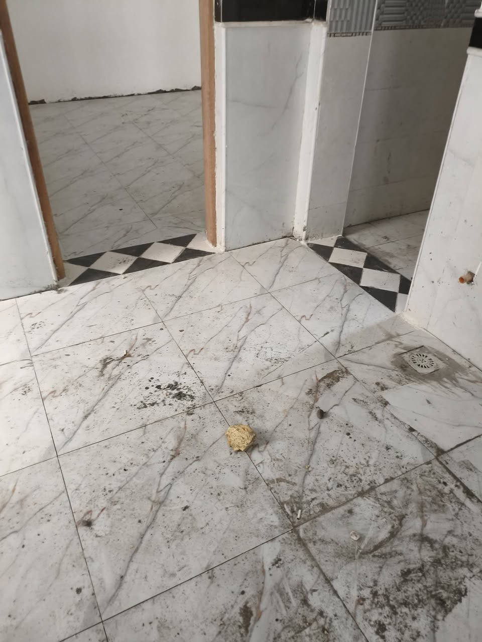 سلام عليكم خلفه سيراميك متفرغ شغل يراني درجه أوله رقم واتساب وتصال ***********
ممتواجد فيس
