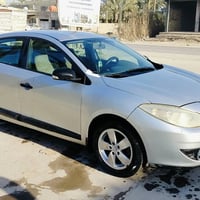 رينو فلونس • ٢٠١٣ • بدون صبغ