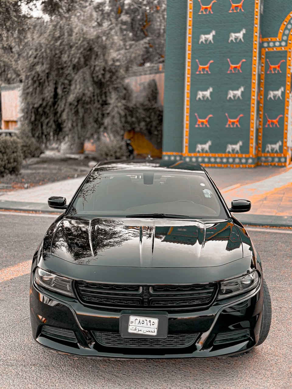 دودج جارجر 2023 sxt
السيارة منفيس بدون ارقام تترقم اي محافظة تعجبك 
السيارة جديدة حلوة ونظيفة كلش نقصها بس ترقم 
حادثها موضح كدامكم بالصور حادثها كلش بسيط خلفي 
السيارة بدون صبغ فقط تعديل بارد والحوض ايضا تعديل بارد بس الشاصي تعديل بسيط خفيف 
مواصفات السيارة 
تشغيل عن بعد 
شاشة جبيرة 
وباقي المواصفات معروفة مال الجارجر 
العنوان : بابل /الحلة / شارع 60
للاستفسار : *********** موجود واتساب او ماسنجر اتصل بيك خير وتدلل 
السعر : 225 وبيها مجال بسيط لعيونكم 
وربي يرزقكم ويرزق الجميع انشالله 🤍
