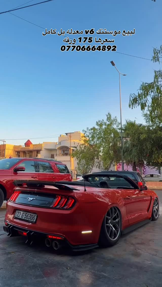 


**إذا كنت صاحب هذا الإعلان وتريد حذفه لأي سبب، رجاءا أرسل رسالة إلى الدعم الفني**