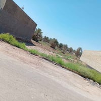 طابو زراعي • مابين حصوه والمشروع • ١٠٠م