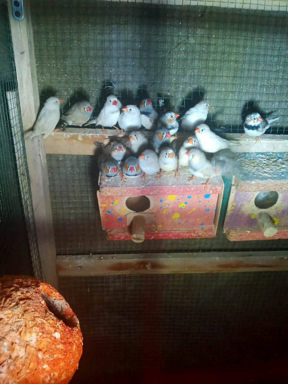 ٣٥


**إذا كنت صاحب هذا الإعلان وتريد حذفه لأي سبب، رجاءا أرسل رسالة إلى الدعم الفني**