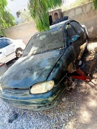 قطع فرط • مكفولة • سبكترا