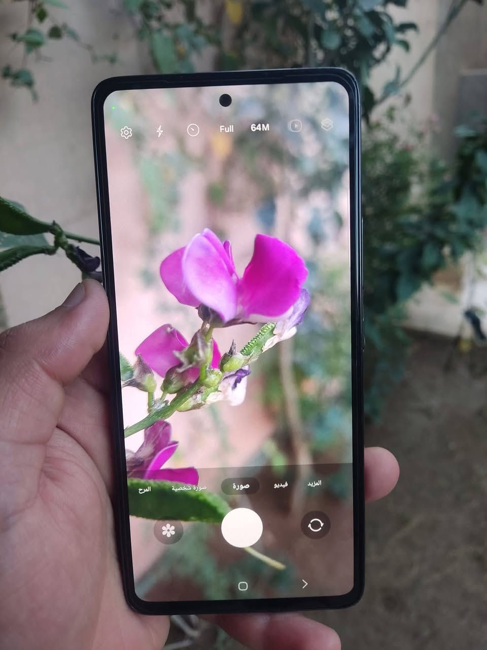 A53 5G
ذاكرا 256 
رام 8+8 
شاشا 120 هرتز
بصمه بل شاشا
بطاريه 5000 
كامرات فول
جهاز شرط وضمان
السعر 165 
بي مجال حك جيا فقط


**إذا كنت صاحب هذا الإعلان وتريد حذفه لأي سبب، رجاءا أرسل رسالة إلى الدعم الفني**