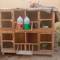 اغراض للبيع عربانه سعرها 150 فقل نهايته.  قفاص سعرها 50 قفل نهايته .  ...