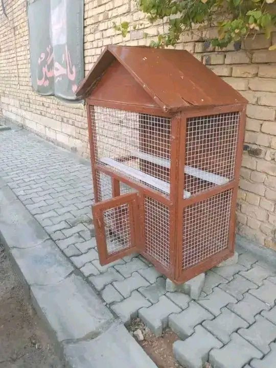 التفاااصيل خااص


**إذا كنت صاحب هذا الإعلان وتريد حذفه لأي سبب، رجاءا أرسل رسالة إلى الدعم الفني**