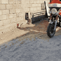 ستوتة فرس • ضايعات أوراق • محرك ٢٠٠