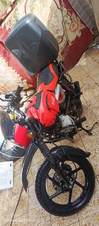 بوكسر جبلي • ٢٠٢٣ • نكليزي