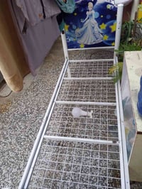 جرباية بناتية • جديدة • بغداد البلديات