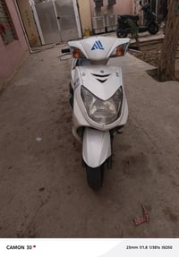 فحل سكنس دراجه خير من الله مناقصه اي شي العنوان بغداد الحسينيه للسفسار...