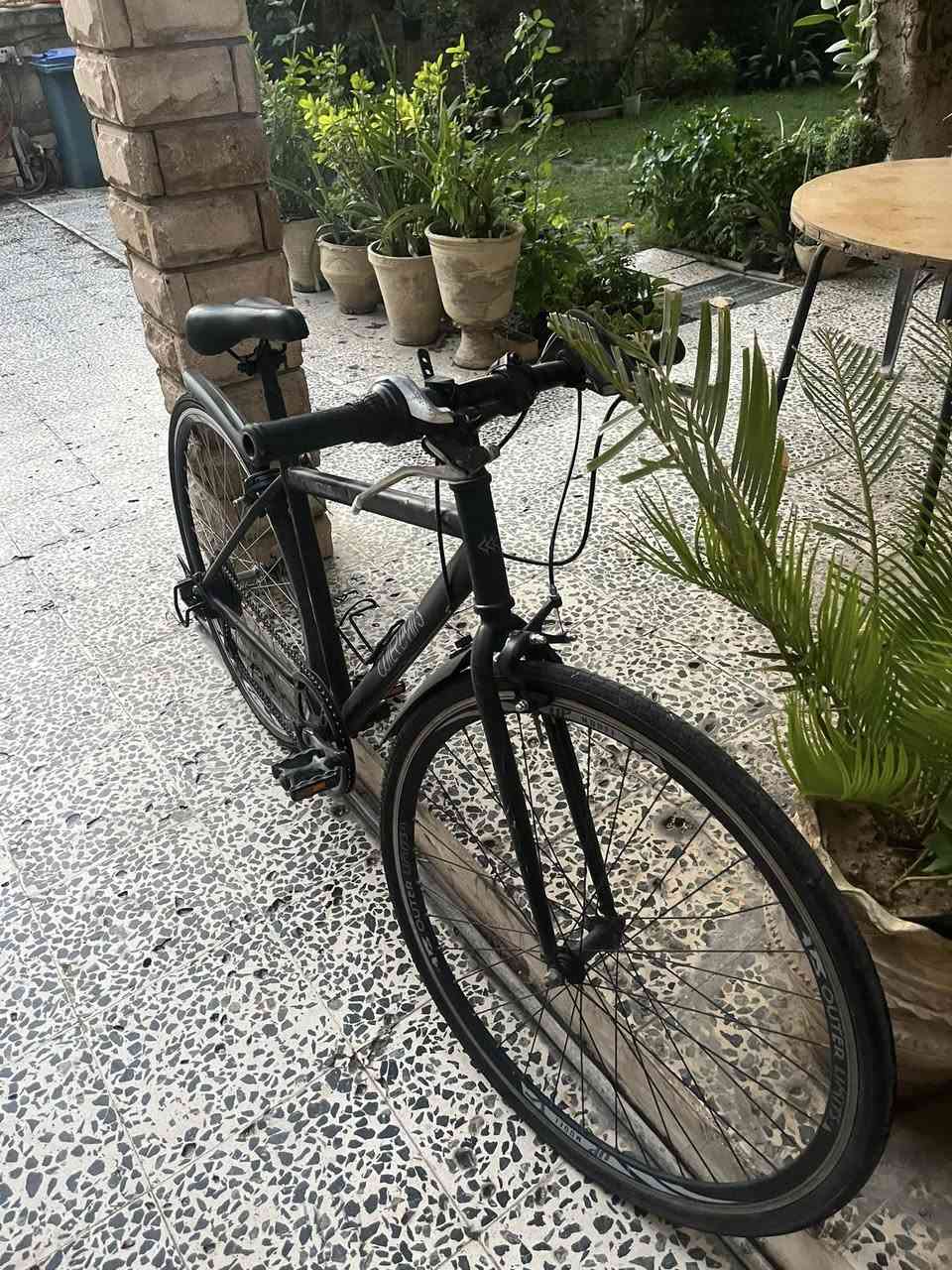 C700 للبيع 🔥
ماركة :outer limits ✅
كير ست نمر خلفية ✅
كشن رياضي جديد ✅
واقيات مطر ✅
حاملة مطارة✅
بريكات امامي وخلفي شغالة ومرتبة على حسب الاصول ✅
لايت وجرس عالشحن جدد✅
البايسكل كامل مكمل ومتعوب عليه 
السعر : 125,000 دينار 
بغداد الغدير 
للتواصل خاص


**إذا كنت صاحب هذا الإعلان وتريد حذفه لأي سبب، رجاءا أرسل رسالة إلى الدعم الفني**