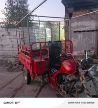 ستوته دايون • اوراق اصوليه • محجر