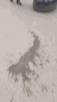 سلام عليكم 
اللهم صل على محمد وال محمد 
طوارئ
تم تبديل دبلات جوبلس ال لوي 
رائنج مديل 2012
فيتر كير محرك  حداد صدر 
خدمات ياسر الخفاجي 
يوجد لدينا انواع المحركات وكيرات بسعار مناسبه دودج كرفان 
يوجد لدينا طوارئ في اي وقت وفي أي مكان 
العنوان بغداد ساحة عدن خلف معمل الطحين مجاور جامع الكويتي خدمات ياسر الخفاجي 
رقم الهاتف واتساب 
***********-***********_***********
