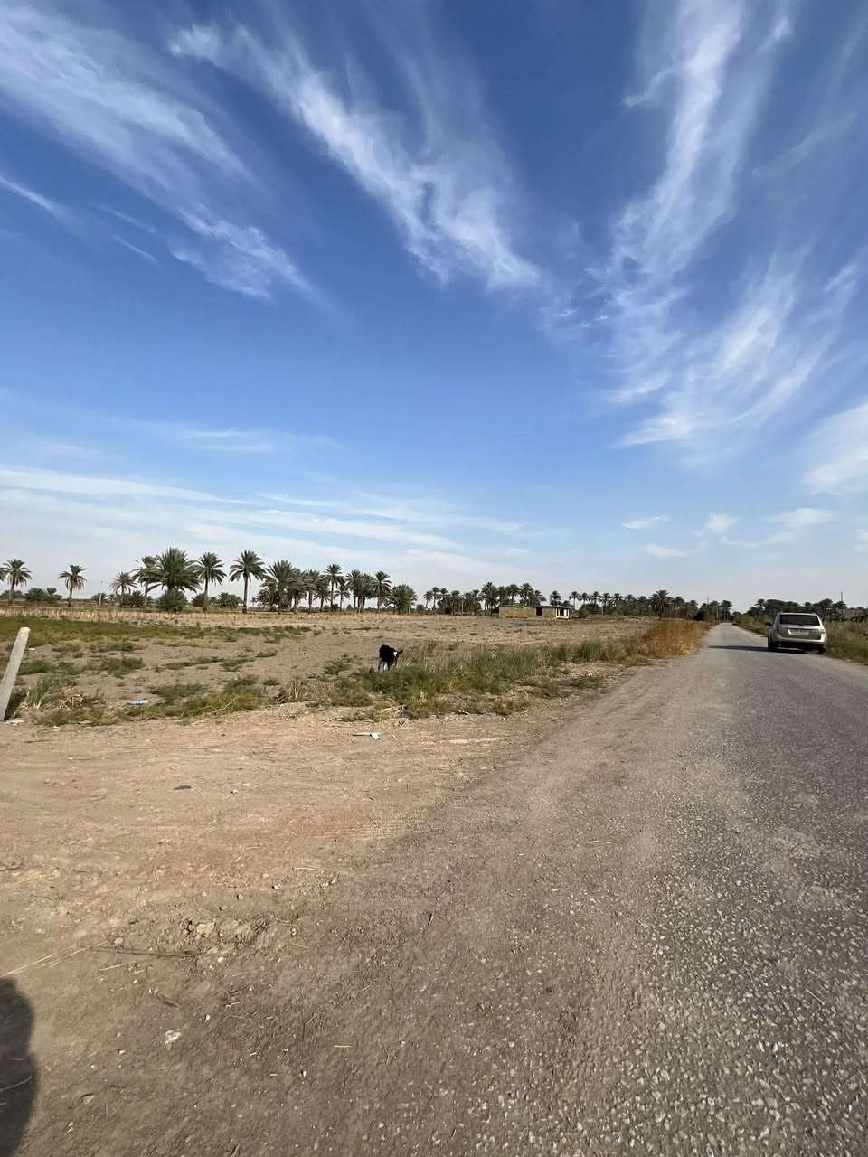 🔴 بسم الله الرحمن الرحيم🔴 
تتوفر  وقطع  سكنيه #للبيع #زراعي تحويل بسم المشتري  تصلح مزارع او سكن  بأسعار مناسبه   الموقع في محافظة #بابل #الحله سند25 تحويل بأسم المشتري مباشر 
يوجد دونم او نص دونم 
يوجد ( 5 ) قطع المساحه 500 متر
يوجد ( 5 ) قطع  المساحه كل قطعه  250  متر 
ويوجد دوانم تصلح مزارع  و سكن طريق حله نجف نزله الامام بكر  ابن علي عليه السلام اوتنزل الى مقام نبي الله ابراهيم الخليل خلف المقام  عليه السلام خلف المقام بواحد كيلو #السعر  اوباقي التفاصيل على  الخاص  اوالاتصال 
  ***********  اتصال 
***********  واتساب
#الجميع_عام_ارض_زراعي_للبيع
#الجميع_عام_اراضي_زراعي_للبيع_حله_بابل_دوانم_للبيع_الج #مزارع #دوانم#بابل_حله #زراعي#@الجميع@المتابعين@الاصدقاء
