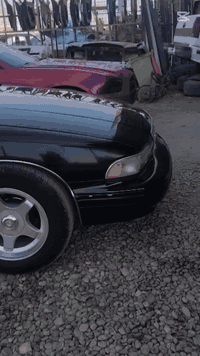 ٩٥ • رقم ألماني • سنويه ساقطه