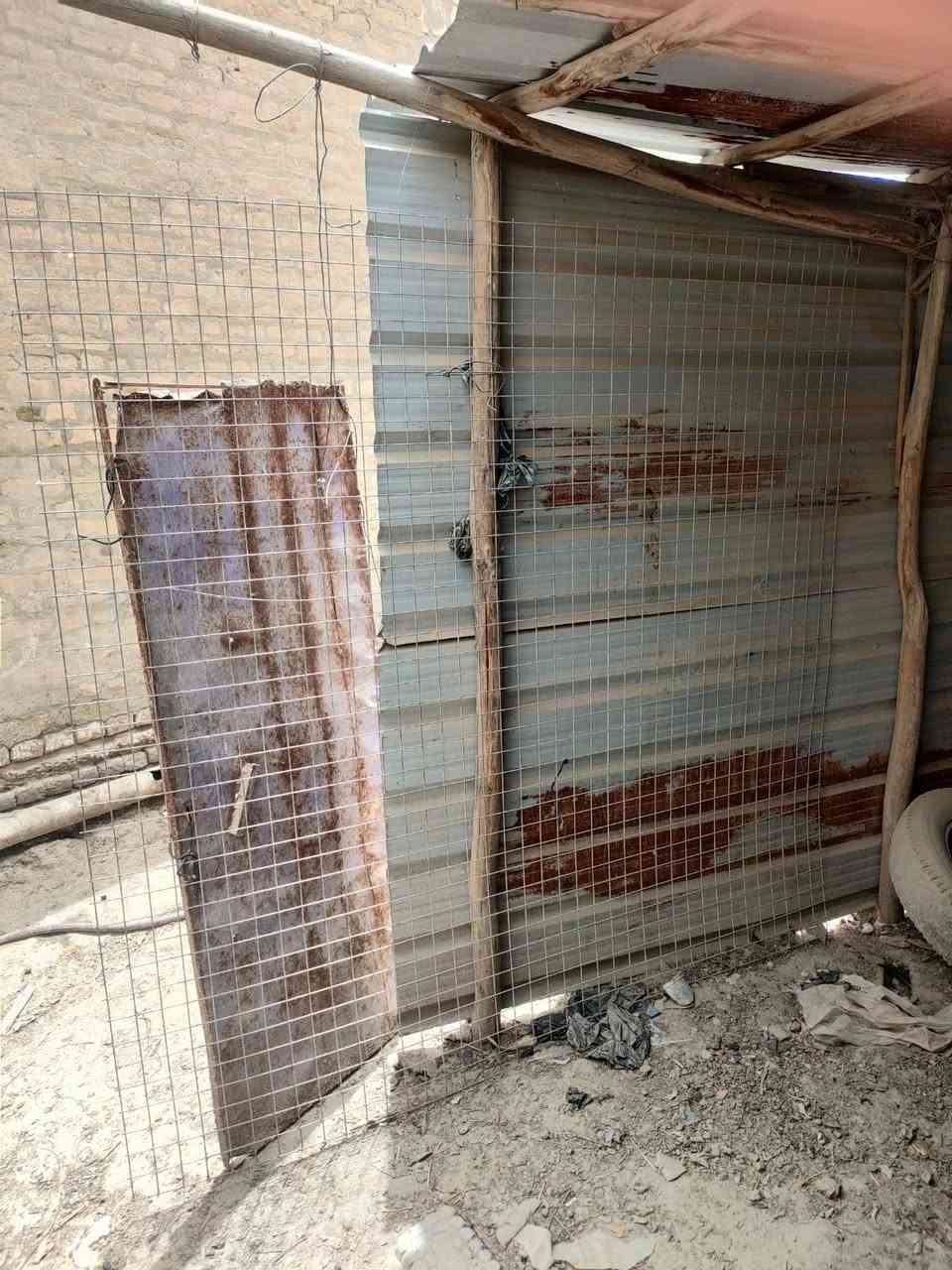 للبيع مع الجينكوه المكان سوق الشيوخ البطاط


**إذا كنت صاحب هذا الإعلان وتريد حذفه لأي سبب، رجاءا أرسل رسالة إلى الدعم الفني**