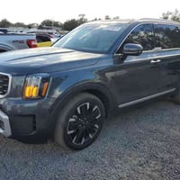 تيلورايد • ٢٠٢٤ • مزاد ٢١/١١