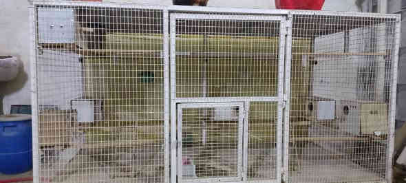 نانو شبكه. وقفص تسكام حديد جديد
***********
