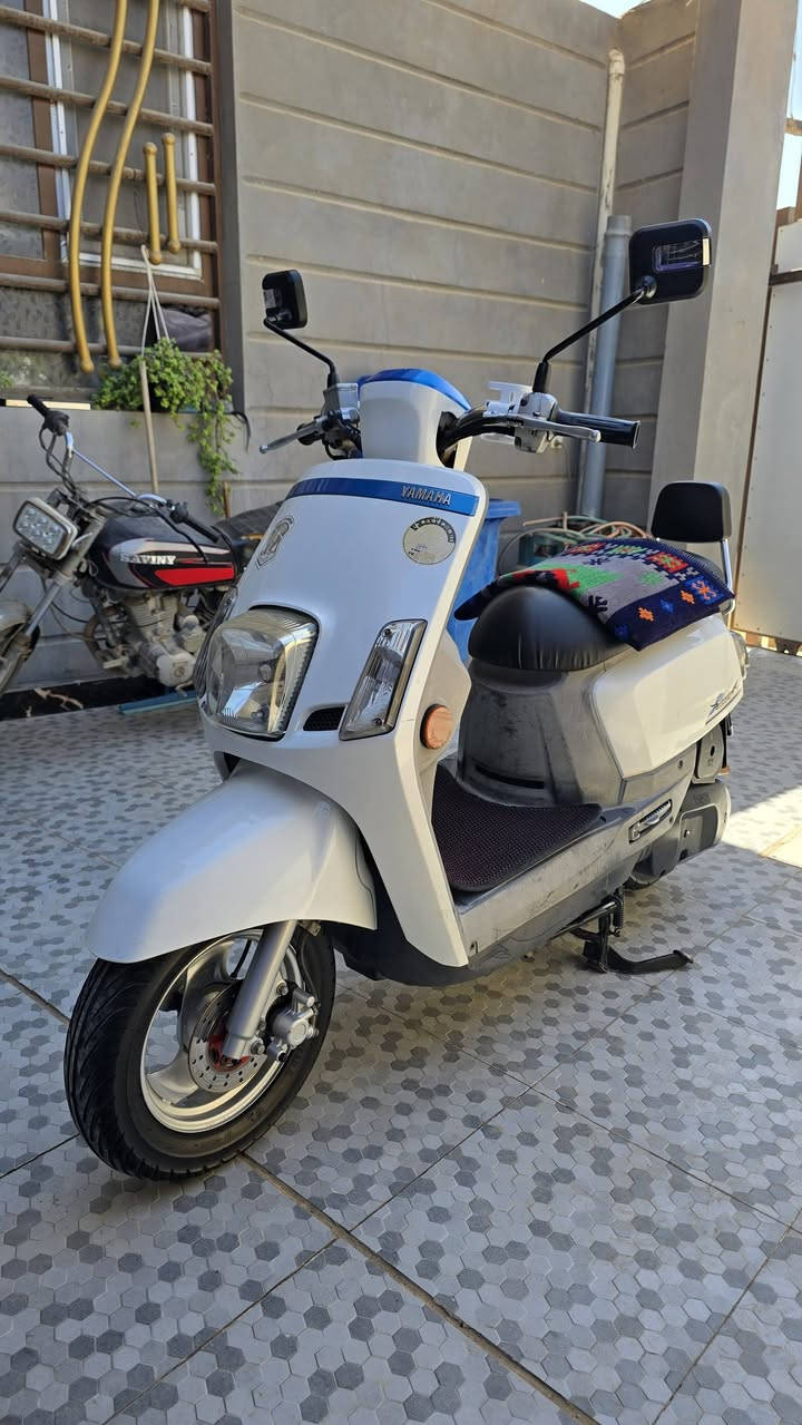 سلام عليكم...
بوليس مسطره ختم واحد الدراجه كفااله
مو واحد يدخلي يكلي شبيها مابيها 💙
مثل متشؤف بعينك ماعايزها كللللللللشي
حلوه ونضيفه حيييل مال جناااااي 🤍
الشراي يتصل ويستفسر وبي خير ويدلل
📍مكان الدراجه " كربلاء _ طويريج "

*********** 📞
*********** 📞
