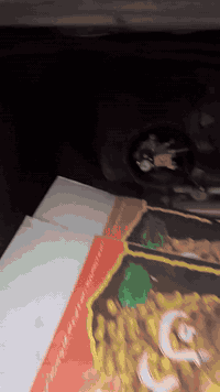 السلام عليكم منظومه غاز كامل 4 سلندر اللبيع مفتوح وكامل مكان الأمين الثانيه سعر 250 الف ،***********
