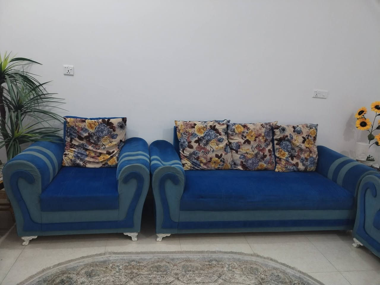 تخم تركي ١٠مقاعد ١٩٠بي مجال الاتصال على الرقم ***********
