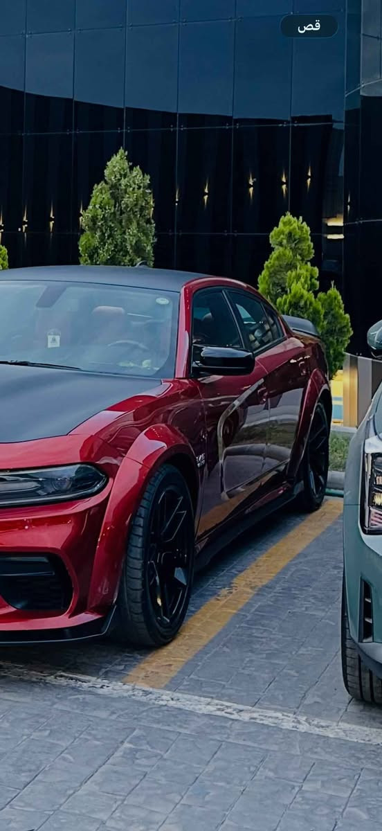 ويل srt  طخم للبيع مستعمل 
الي يفيده يخلي سعره موصل, نينوى


**إذا كنت صاحب هذا الإعلان وتريد حذفه لأي سبب، رجاءا أرسل رسالة إلى الدعم الفني**