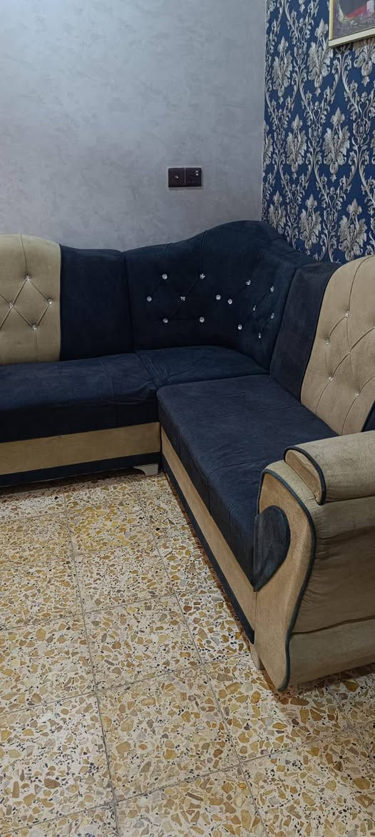 تخم تسكام ديوان الاصلي عدد ٦ قطع سعر ٣٠٠ بي مجال


**إذا كنت صاحب هذا الإعلان وتريد حذفه لأي سبب، رجاءا أرسل رسالة إلى الدعم الفني**