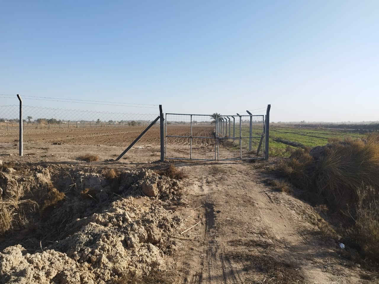 السلام عليكم 
ارض 8 دونم للبيع طريق كربلاء عقد زرعي
طريق يا حسين عمود 256 منطقه ام نعجه 
ارض طينيه واصله ماء وكهرباء 
ومايه من المشروع الرئيسي 
الأرض فارغه مسيجه وجاهزه يمه سكن وبساتين تبعد عن الشارع العام طريق كربلاء 2 كيلو 
هذا صور السكن الي بصفه وهذا البساتين الي مزروعه يمه 
***********
