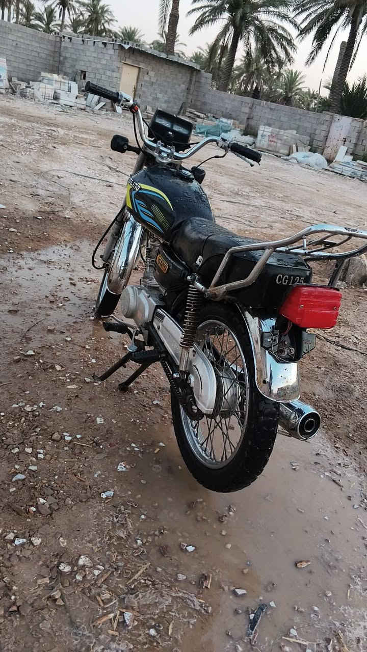 عليك دراجه تايكر موديل 19 دراجه نضيفه بيهة شلعة
 او سريعه سعرهة 250او بيهة مجال حك الجيه مكاني بلدروز الاتصال علا هاذ الرقم واتساب ***********
