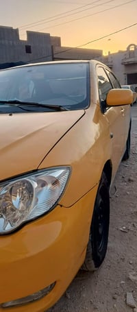 مصبوغ • ٢٠١٠ • حزام ومعمّره جديد